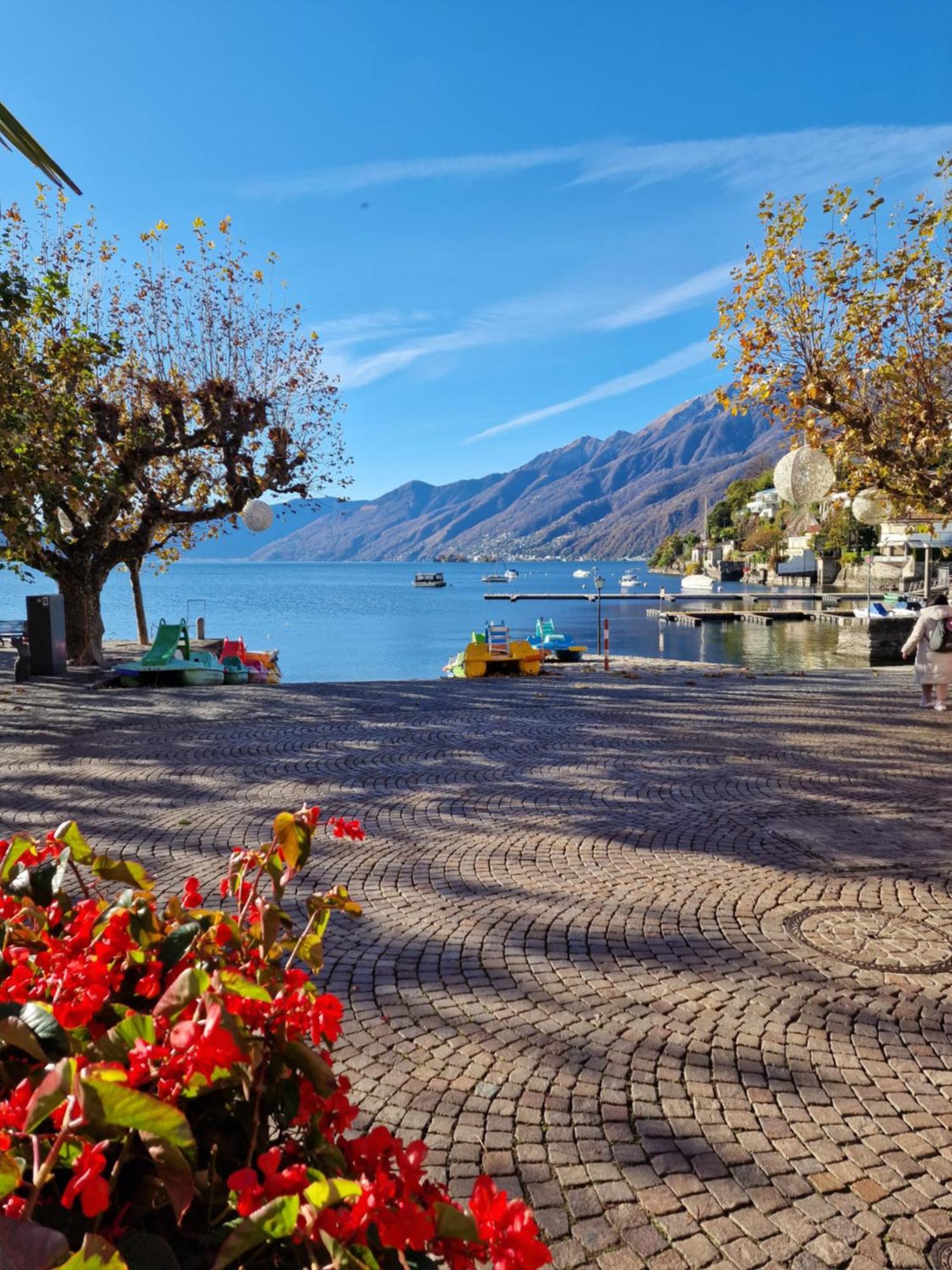 Hotel Elvezia Ascona Eksteriør bilde